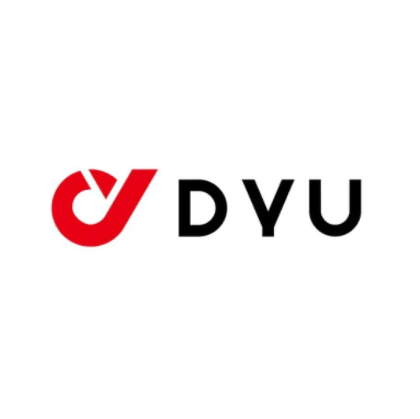 DYU Electric Bikes